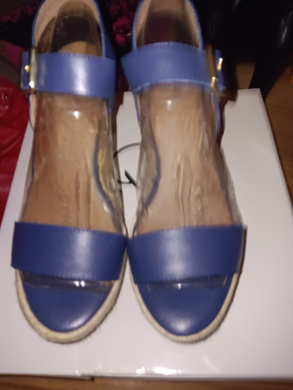 Women's Blue Espadrille Wedge Sandals with Ankle Strap